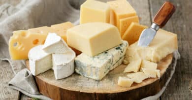 fromages de chèvre