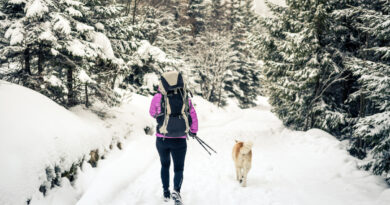 voyages hiver pas chers