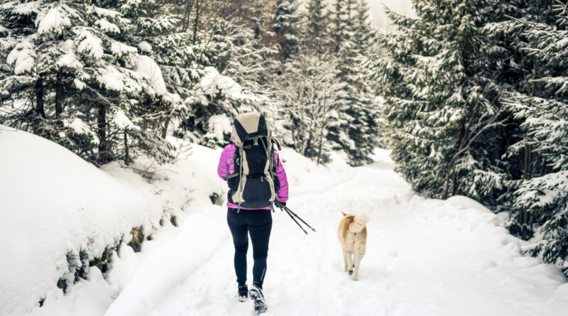 voyages hiver pas chers