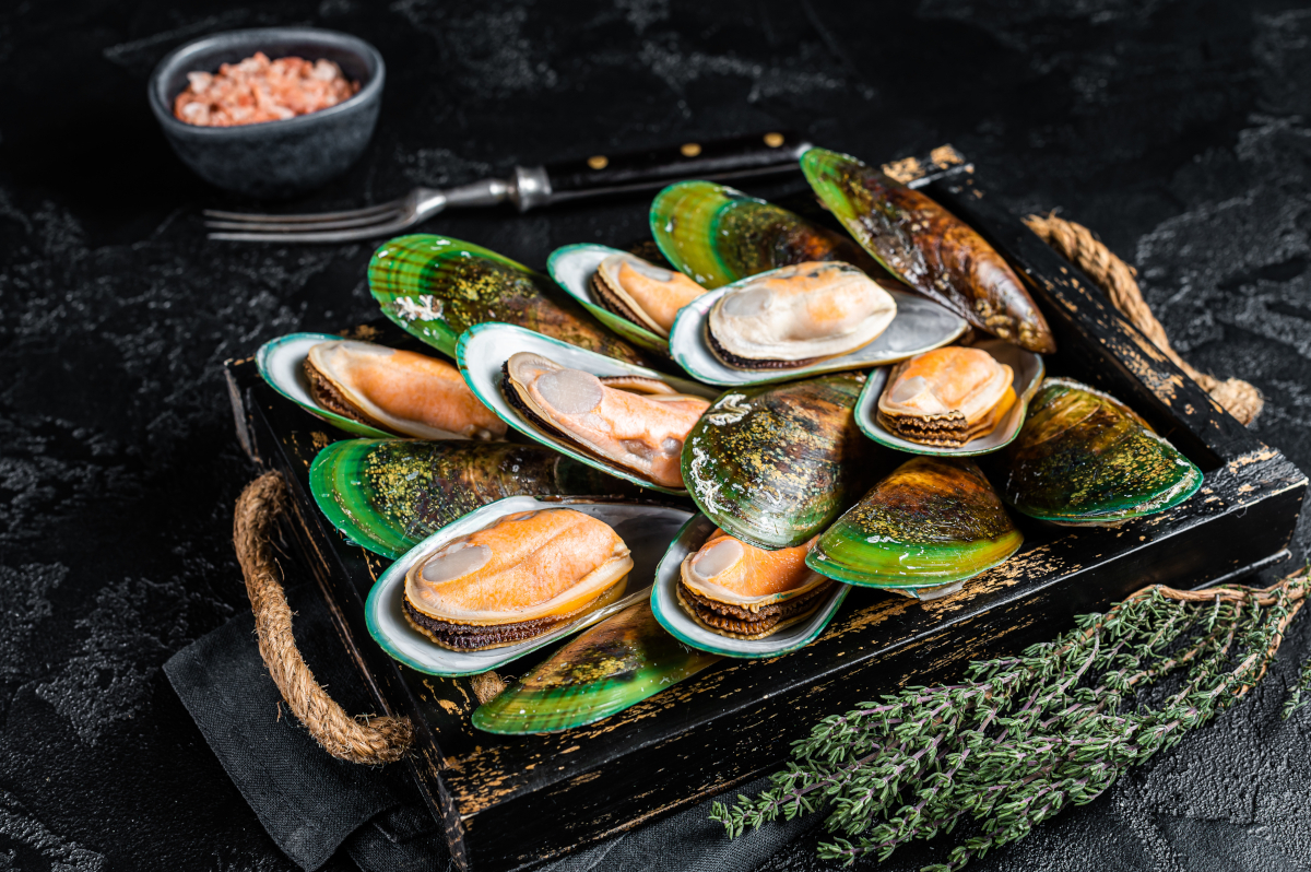 bienfaits des moules de bouchot