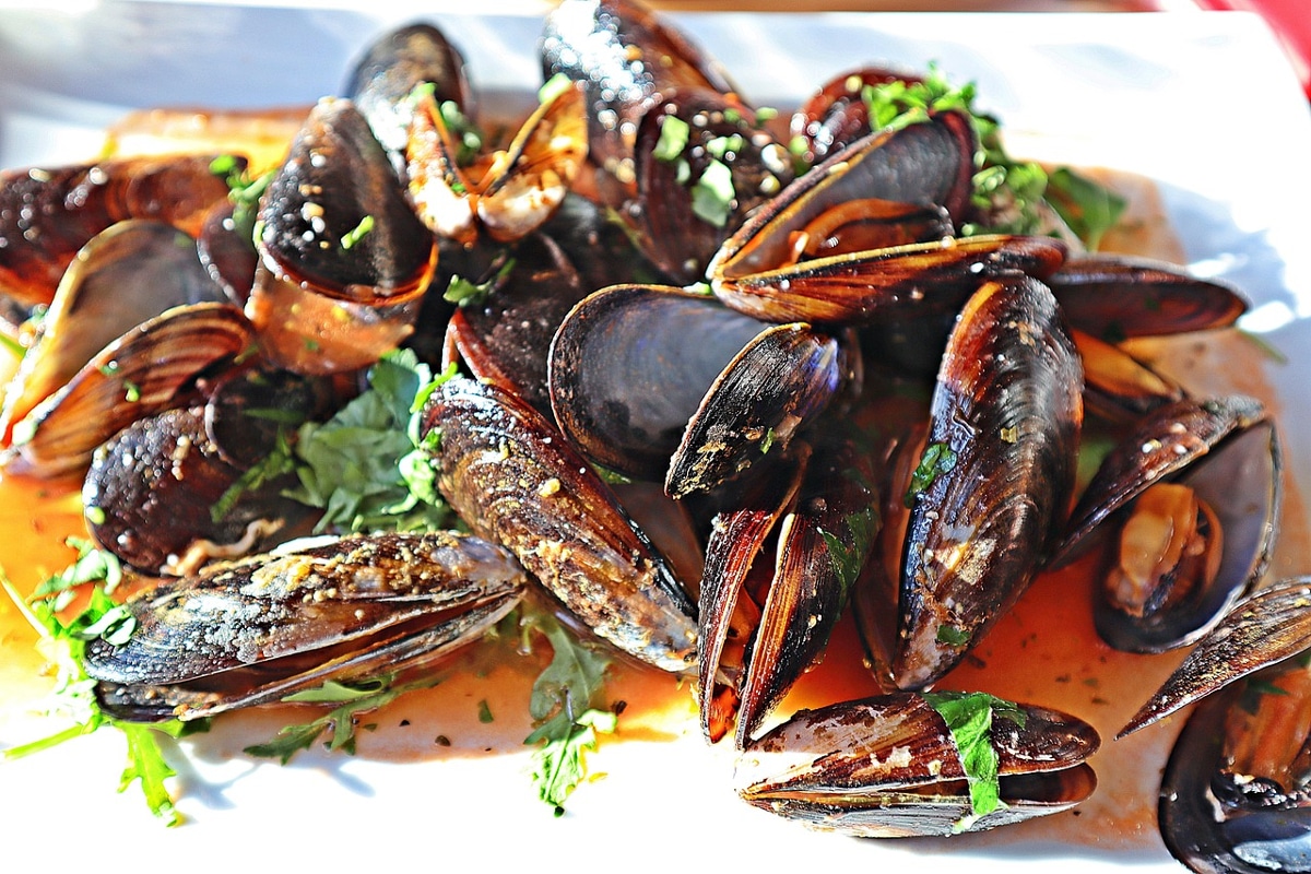 moules
