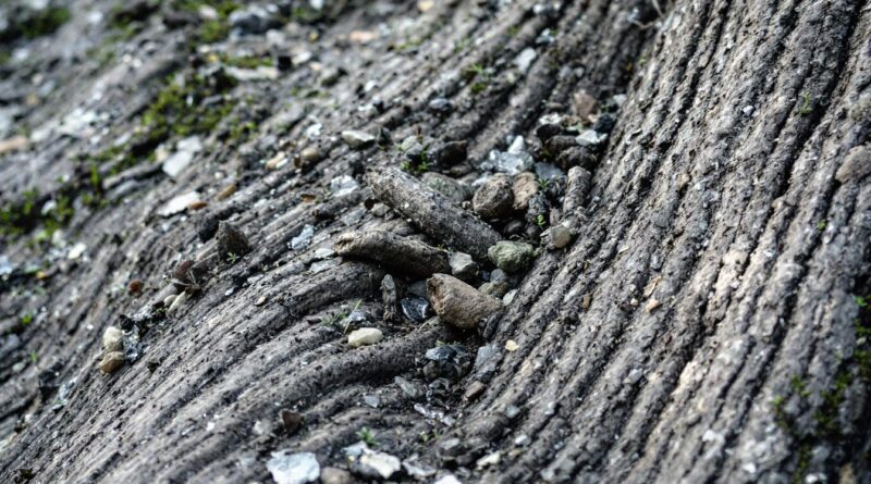 découvrez comment optimiser la fiscalité de votre assurance vie après 70 ans pour une succession avantageuse et sereine.