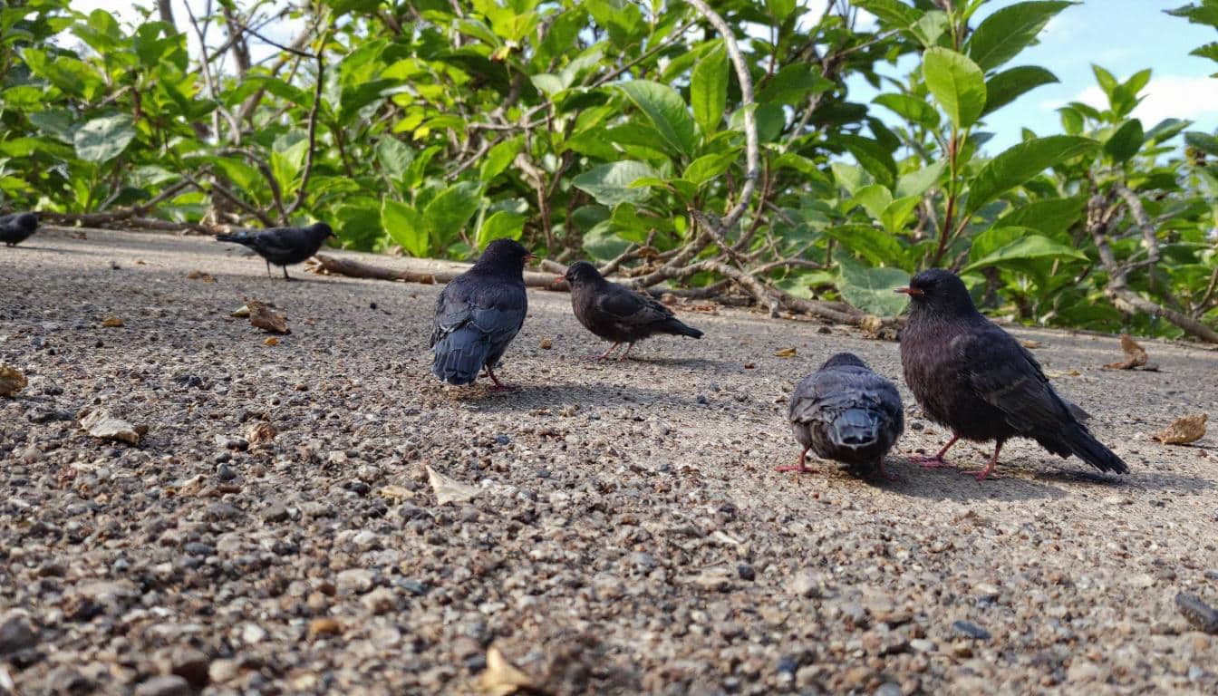 découvrez le top 10 des meilleurs sites de locations de vacances à faro, algarve, pour trouver votre hébergement idéal et profiter pleinement de vos vacances cette année.