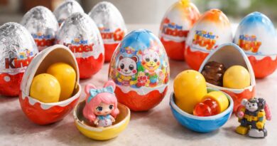 découvrez les différences entre les œufs kinder selon les pays et les différentes versions disponibles, pour mieux comprendre leurs particularités et surprises.