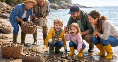 découvrez des activités ludiques d'oystering pour toute la famille, parfaites pour petits et grands, alliant découverte, amusement et moments conviviaux en plein air.